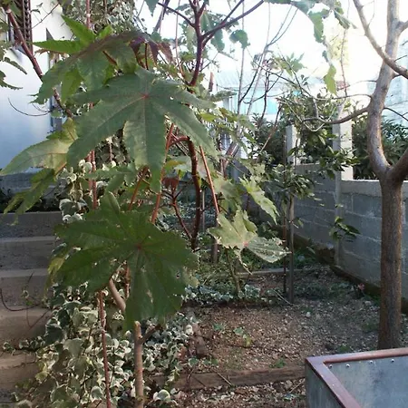 Apartment Apartments With Parking Space Orebic, Peljesac - 266
