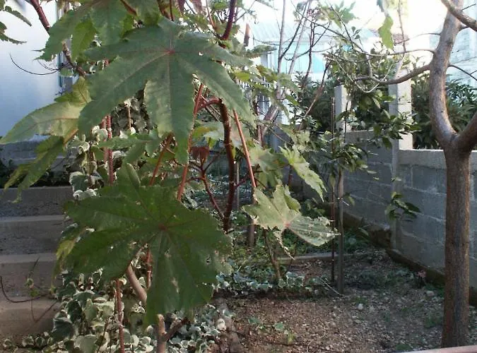 Apartman With Parking Space Orebic, Peljesac - 266