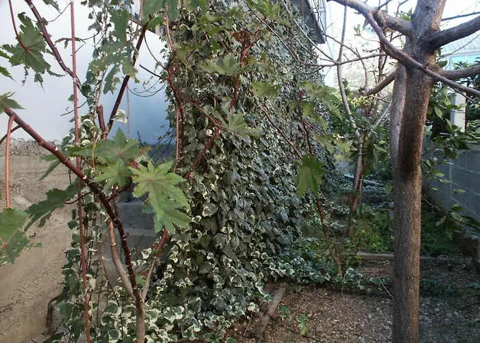 With Parking Space Orebic, Peljesac - 266 Apartman Orebić